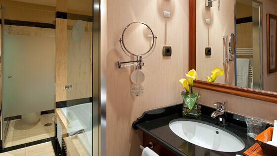 Elba Estepona Gran Hotel & Thalasso Spa